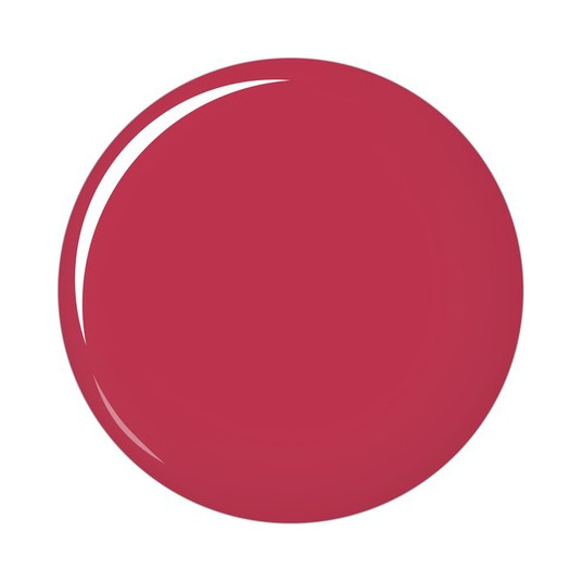 Shiseido Smu Visionairy Gel Lipstick 204 Scarlet Rushampoo 1 6 G