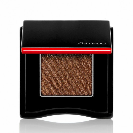 Shiseido POP PowderGel Brown 05 2,2g