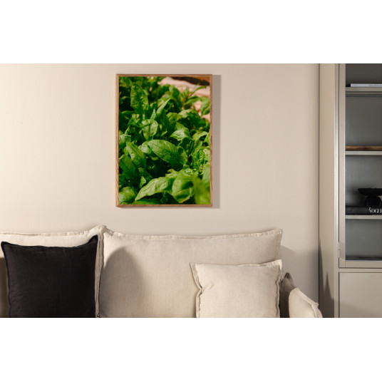 Paveikslas - Green leaf - 30x40