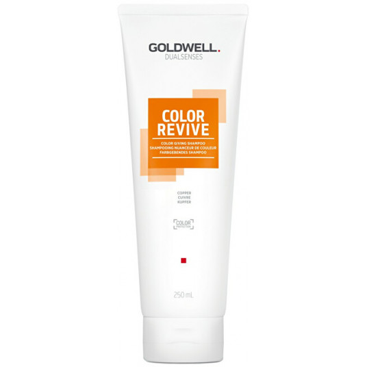 Goldwell - Shampoo for reviving hair color Copper Dualsenses Color Revive ( Color Giving Shampoo) - 250 ml