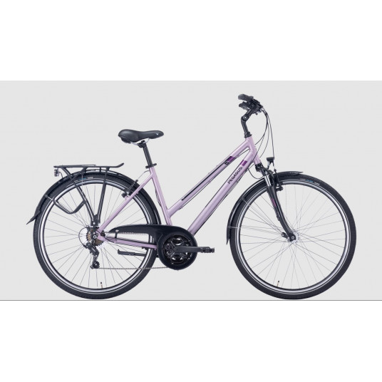 Dviratis 28" Pegasus Piazza trapez 21g šv.violetinis - 45