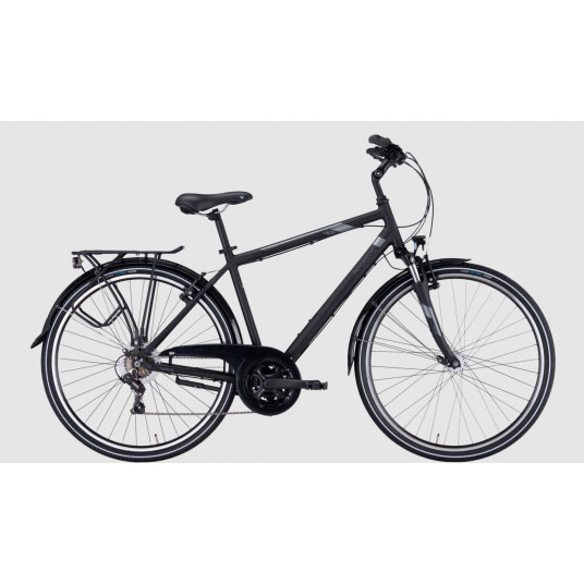 Dviratis 28" Pegasus Piazza vyr. 21g juodas - 45