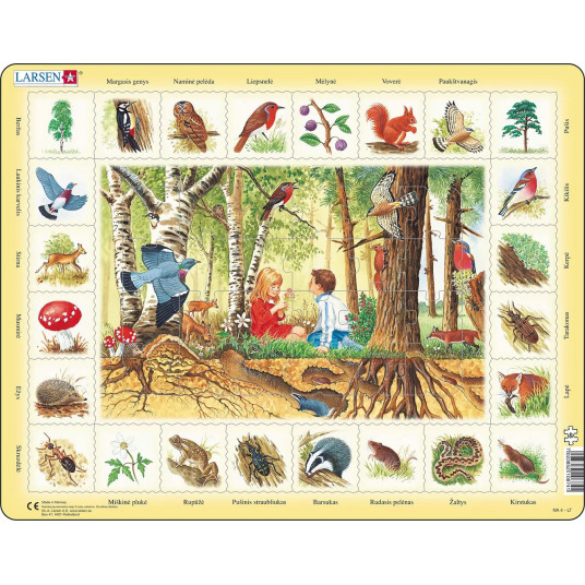 Dėlionė (puzzle) Miškas (48)