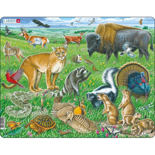 Dėlionė (puzzle) Amerikos prerija (53)