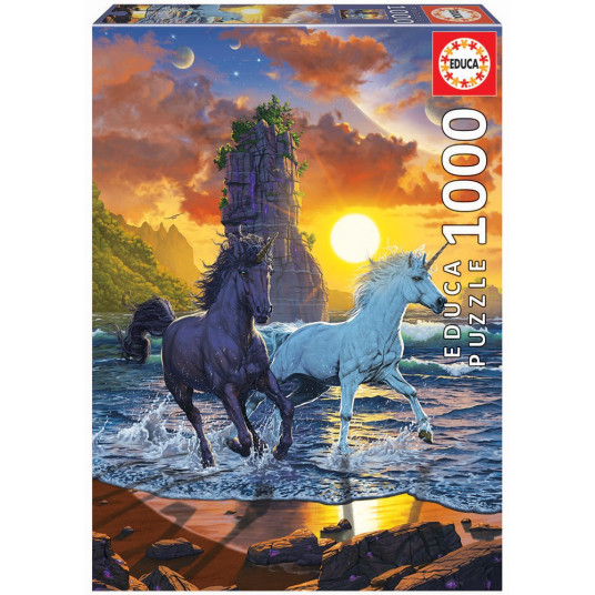 Dėlionė (puzzle) 1000 VEINARAGIAI PAPLŪDYMYJE 12-99 metų
