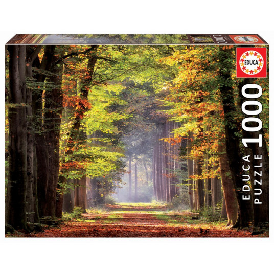 Dėlionė (puzzle) 1000 RUDENINIS MIŠKO TAKAS 12-99 metų