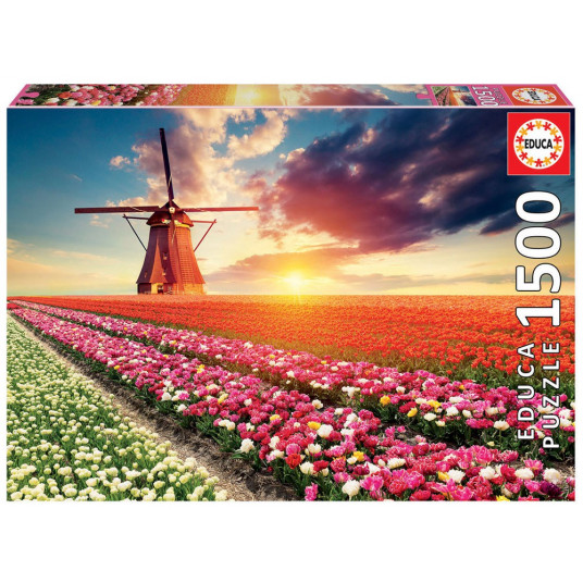 Dėlionė (puzzle)1500 TULPIŲ PEIZAŽAS 12-99 metų