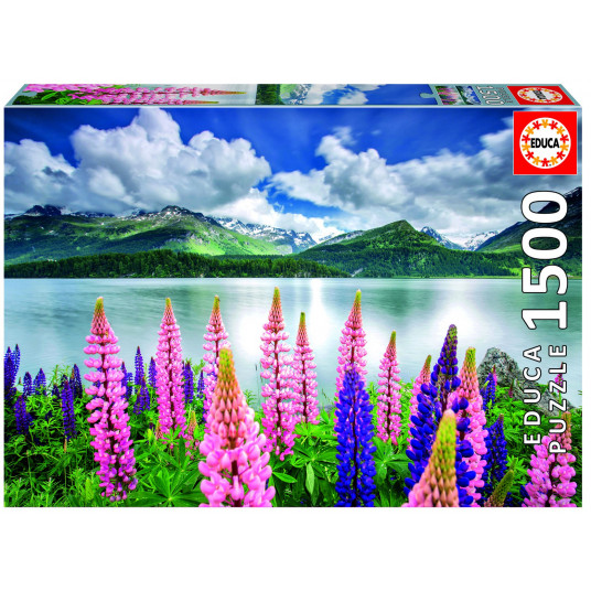 Dėlionė (puzzle) 1500 LUPINS on LAKE SILS, SWITZERLAND 14-99metų