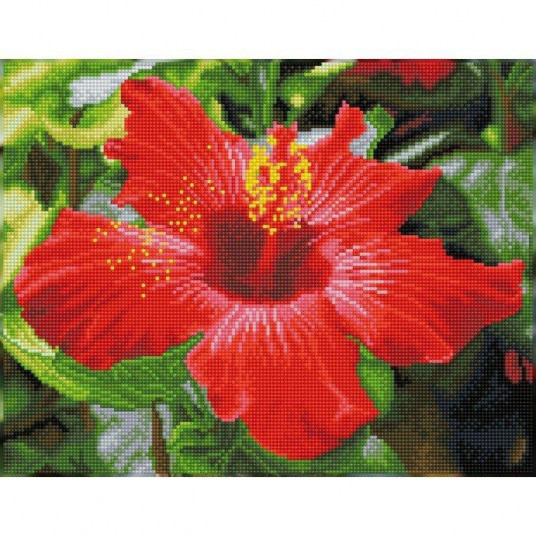 Deimantinė mozaika HIIBSCUS IN BLOOM 32x41