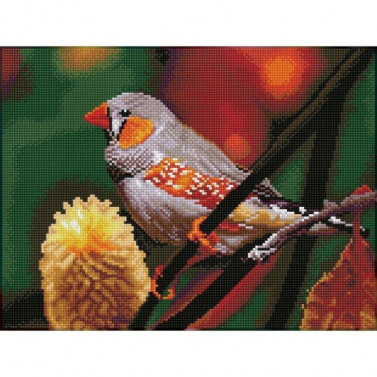  Deimantinė mozaika GOULDIAN FINCH 31x41 