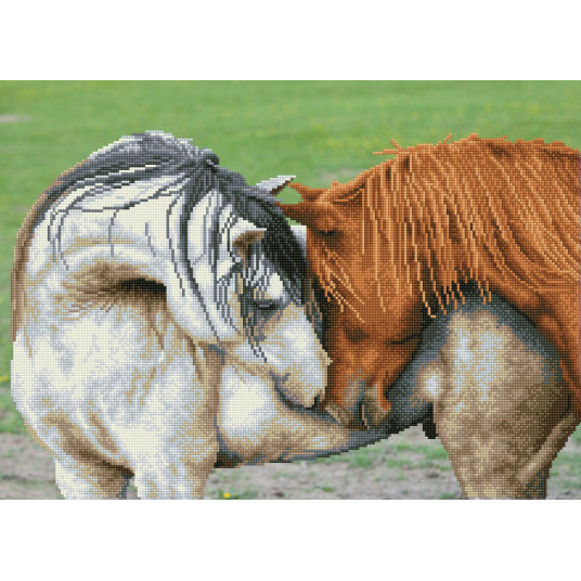 Deimantinė mozaika COURTSHIP 45x2