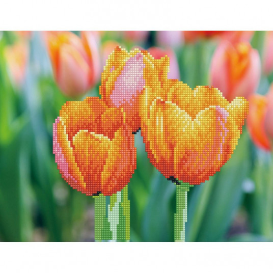  Deimantinė mozaika LOVE TULIPS 27x35 