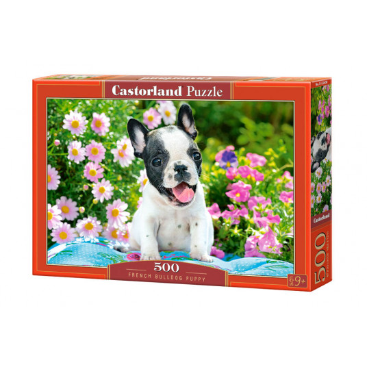 Dėlionė Castorland French Bulldog Puppy, 500 dalių