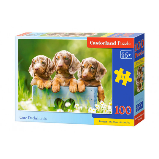  Dėlionė Castorland Cute Dachshunds, 100 dalių 