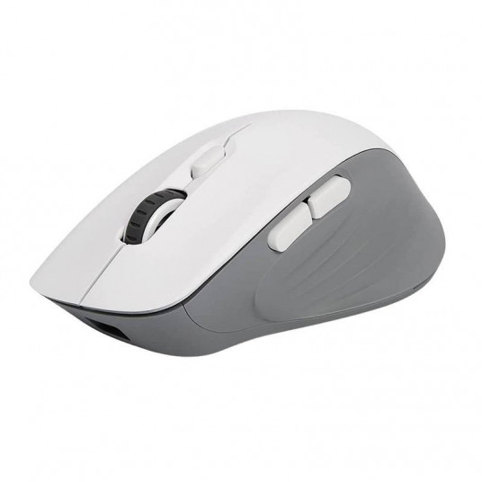  Delux M729DB Wireless Mouse 