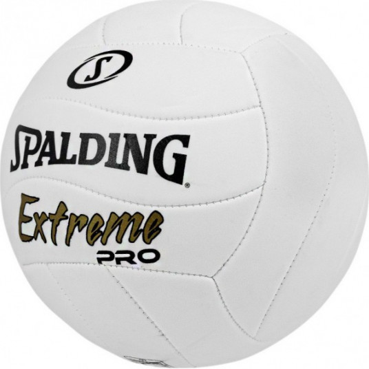 PLIAŽO TINKLINIO KAMUOLYS SPALDING EXTREME PRO