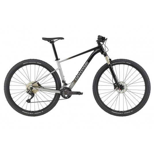 Dviratis 29" CANNONDALE TRAIL 29 SL 4 (C26451M10/GRY) - xl