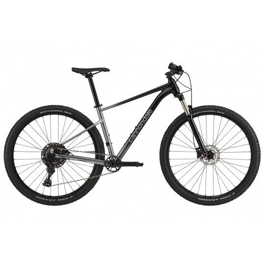 Dviratis 29" CANNONDALE TRAIL 29 SL 4 (C26452M10/GRY) - xl