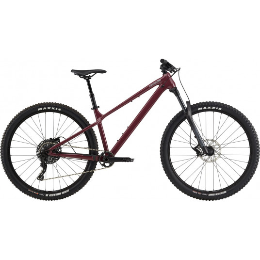 Dviratis 29" CANNONDALE HABIT HT 2 (C26202U20/BCH) - s