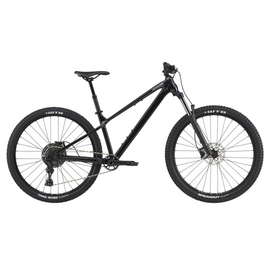  Dviratis 29" CANNONDALE HABIT HT 3 (C26302U10/BPL) - xl 
