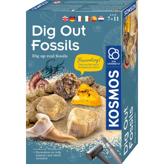  Mokomasis rinkinys DIG OUT FOSSILS 7-11 