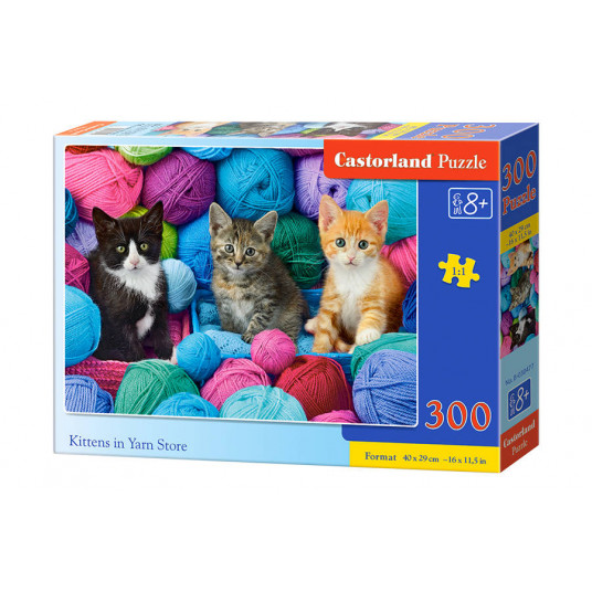 Dėlionė Castorland Kittens in Yar Store, 300 dalių