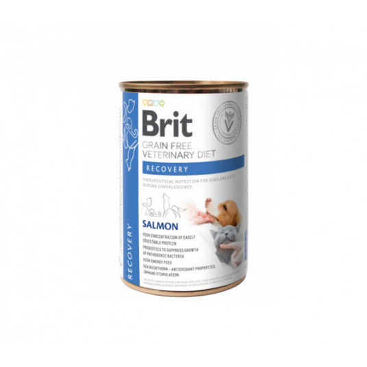  Brit GF Veterinary Diets kons. šunims ir katėms Recovery 400 g 