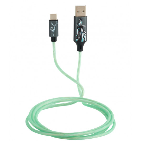 Lazerbuilt Harry Potter Patronus Cable USB / USB-C / 10W
