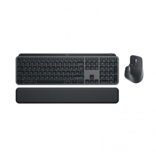  Desktop MX Keys S Combo SWE (W), graphite 