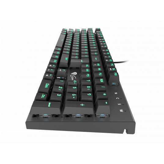  Mechaninė klaviatūra Genesis Thor 300, US, LED, Black 