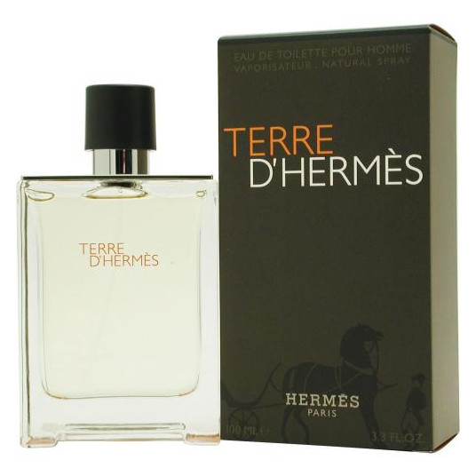 Hermes Terre D EDT Spray 100 ml for Men