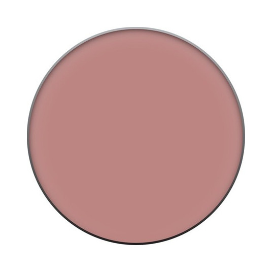 Clinique Compact Poeder Clinique Foundation Blushing Blush Compact Poeder Powder Blush 6 gr