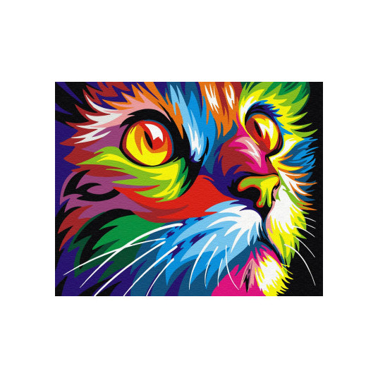Tapyba pagal skaičius Rainbow Cat 40x50