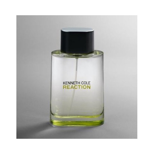 Kenneth Cole Reaction EDT spray 100 ml