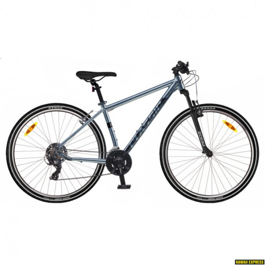  Dviratis 28 CLASSIC STREET 21 MEN 28 etallic classic - xl 