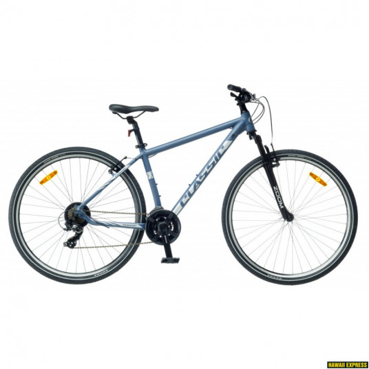  Dviratis 28 CLASSIC STREET 21 MEN 28 metallic classic - l 