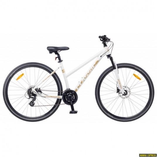 Dviratis 28 CLASSIC STREET 24 LADY DISC 28 white classic - m 
