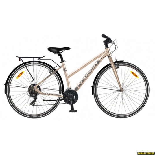  Dviratis 28 CLASSIC STREET 21 LADY EQ 28 classic - m 