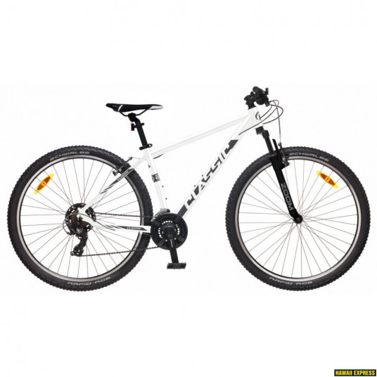  Dviratis 29 CLASSIC TEAM 29 29 white classic - xl 