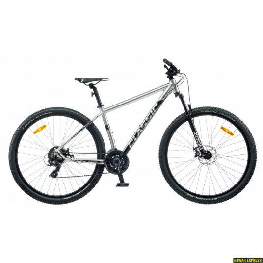  Dviratis 29 CLASSIC PRO 29 Disc 21spilver classic - xl 