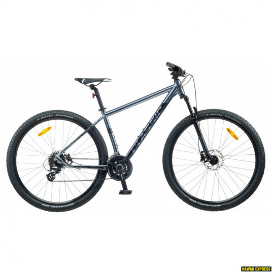  Dviratis 29 CLASSIC PRO 29 Disc 24spetallic classic - xl 