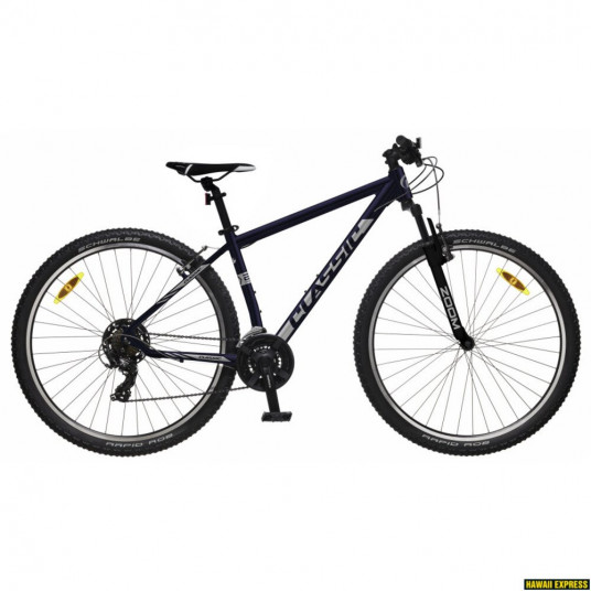  Dviratis 29 CLASSIC TEAM 29 21splue classic - m 