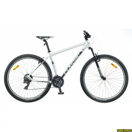  Dviratis 29 CLASSIC TEAM 29 21sp blue classic - l 