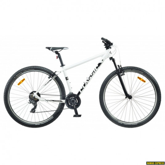  Dviratis 29 CLASSIC TEAM 29 21sp white classic - xl 