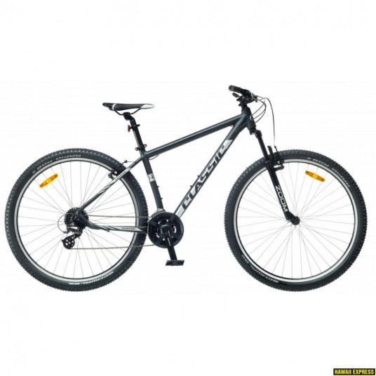  Dviratis 29 CLASSIC TEAM 29 24splack classic - xl 