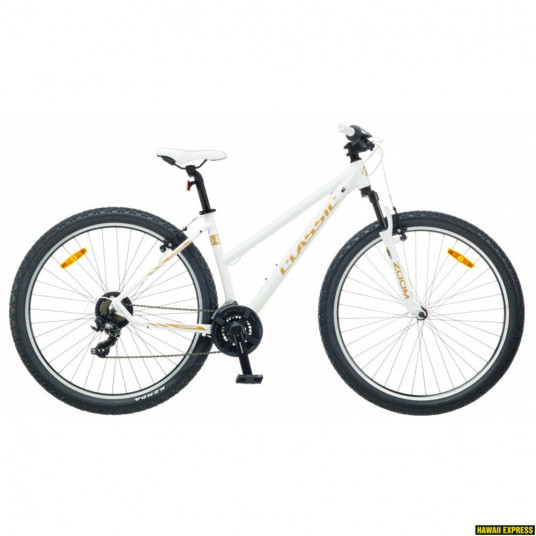  Dviratis 29 CLASSIC TEAM LADY 29 21sp white classic - m 