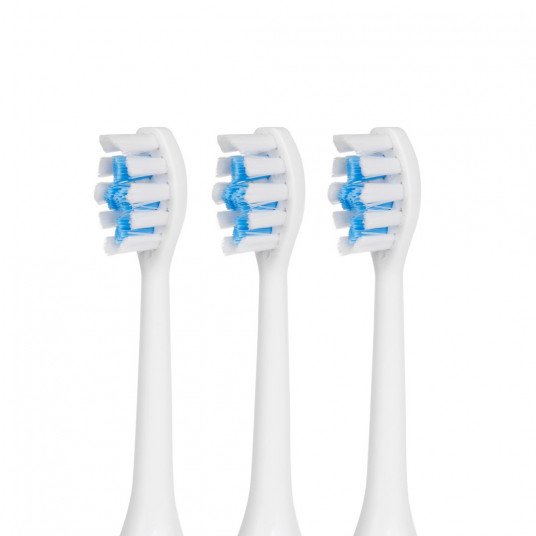  Toothbrush Promedix PR-750 W IPX7 black, travel case, 5 modes, timer, 3 power levels, 3 heads 