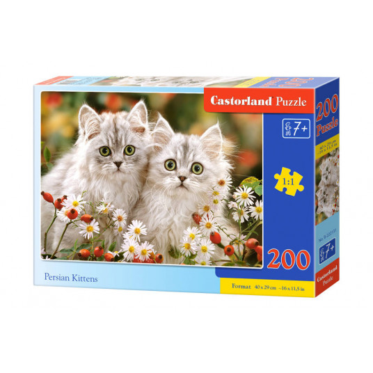 Dėlionė Castorland Persian Kittens, 200 dalių