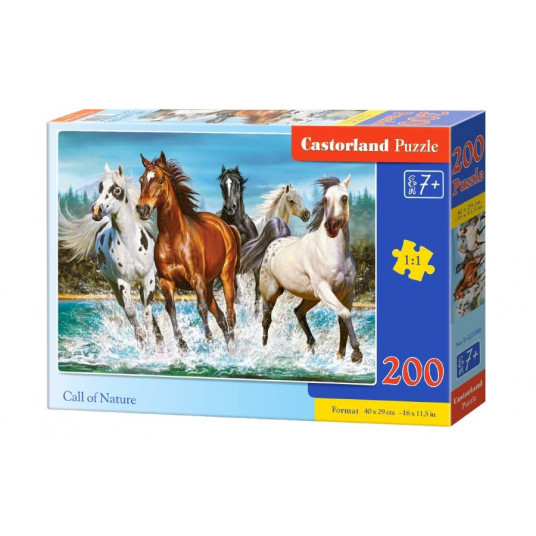 Dėlionė Castorland Call Of Nature, 200 dalių