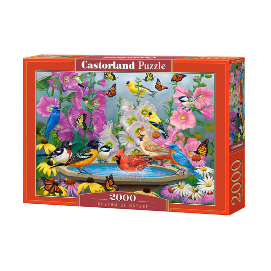  Dėlionė Castorland Rhytm Of Nature, 2000 dalių 